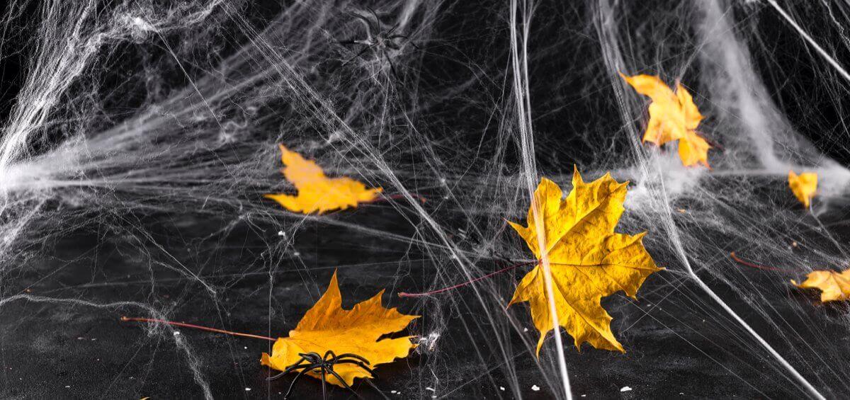 Roofing-Dont-Scare-the-Neighborhood-1200x565-1