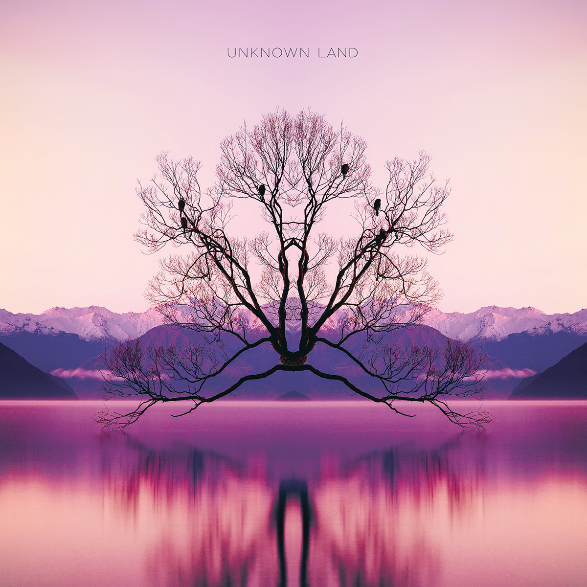 Unknown Land Dark Seasons Cover 1200x1200